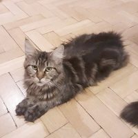 117183046_327621198382232_6011107539937260226_n 117183046_327621198382232_6011107539937260226_n