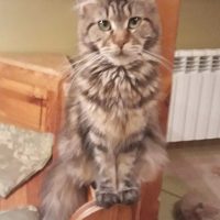 117321441_239596830435993_1812340525744504351_n 117321441_239596830435993_1812340525744504351_n