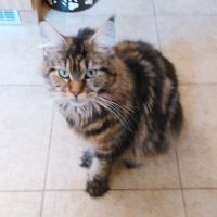 117409123_3287681827980511_8837488280106690186_n 117409123_3287681827980511_8837488280106690186_n