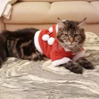 117444614_352348655757235_8910091384015172352_n 117444614_352348655757235_8910091384015172352_n