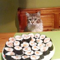 117445095_220051322722779_9048452029658806609_n 117445095_220051322722779_9048452029658806609_n